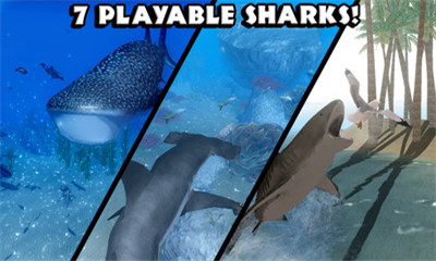 饥饿鲨鱼模拟器手游最新版截图1