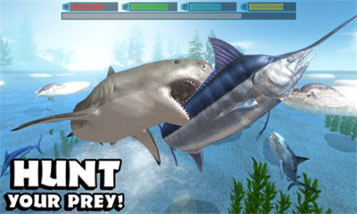 饥饿鲨鱼模拟器手游最新版截图4
