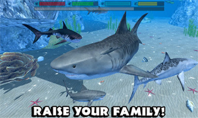 饥饿鲨鱼模拟器手游最新版