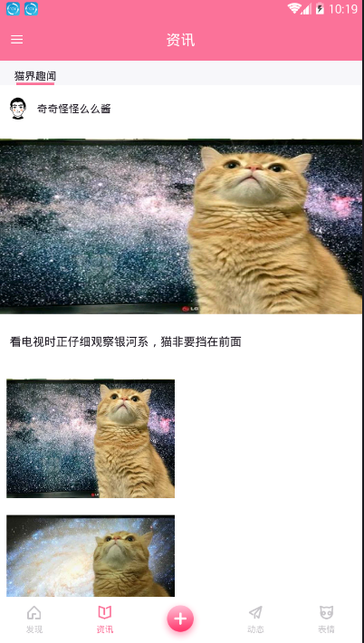 每日一猫手机版