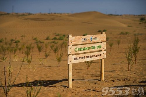 螞蟻森林180g能量是什么梗 螞蟻森林180g是什么能量