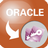 OracleToAccess(Oracle转Access工具) v3.5绿色版 