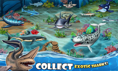 鲨鱼世界手机游戏截图2