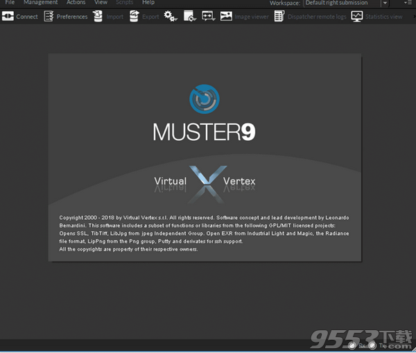 Virtual Vertex Muster 9破解版