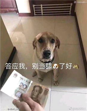 舔狗舔到最后一无所有表情包