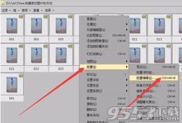 acdsee pro16中文破解版