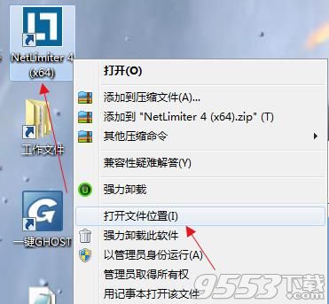 NetLimiter Pro 4中文版