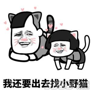 下辈子做只猫表情包