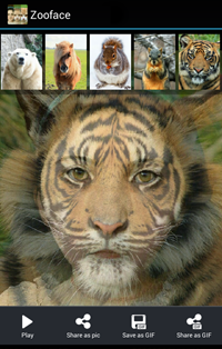 Zooface app下载-Zooface软件下载v1.3.6图1