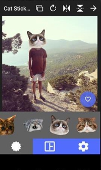猫头贴纸app下载-猫头贴纸软件下载v1.0图3