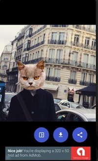 猫头贴纸app下载-猫头贴纸软件下载v1.0图1