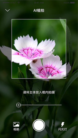 愛植拍iOS版截圖3