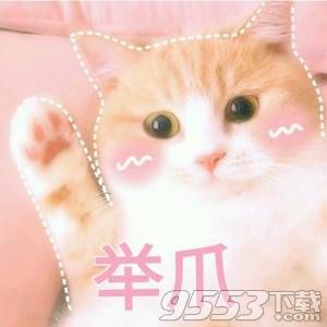 偷看小哥哥猫咪表情包