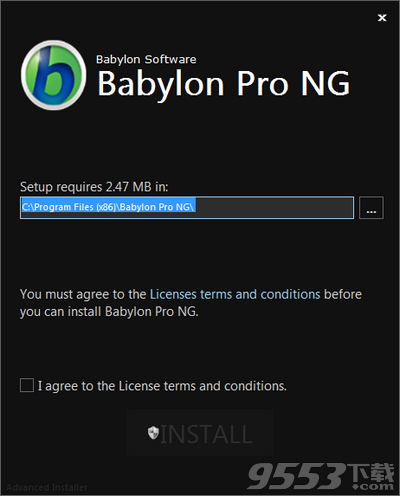 Babylon Pro NG中文版