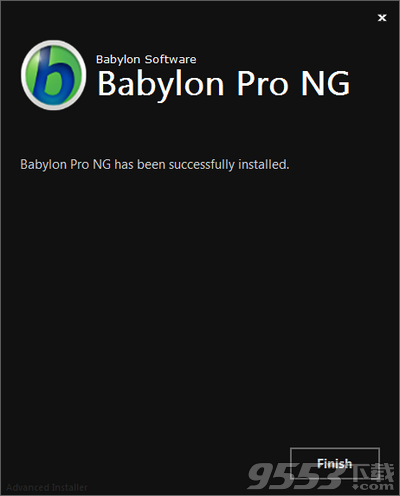 Babylon Pro NG中文版