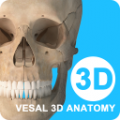 维萨里3D解剖教学苹果版