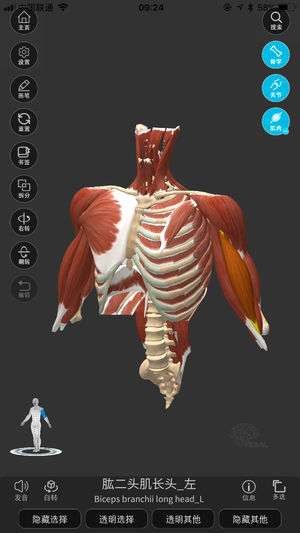 维萨里3D解剖ios版下载-维萨里3D解剖教学苹果版下载v2.4.0.0图5