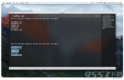Regextor for mac1.1中文版