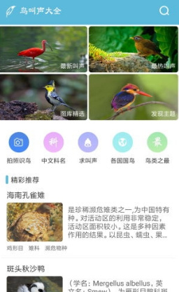鸟叫声大全最新安卓版截图3