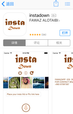 instdown软件截图1