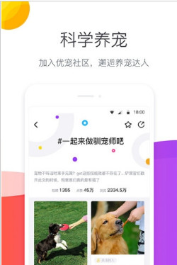 宠优优安卓版截图3