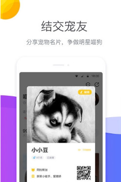 宠优优安卓版截图4