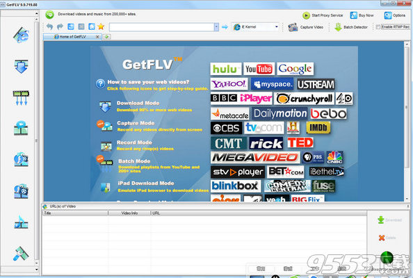 GetFLV Pro中文版