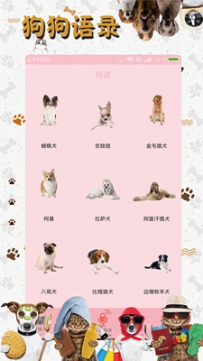 抖音宠物翻译器app下载-手机宠物翻译器安卓版下载v1.0.2图2