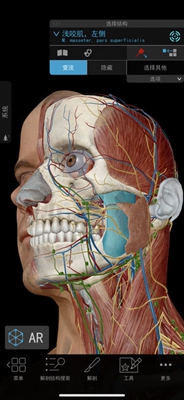 2019人体解剖学图谱app下载-2019人体解剖学图谱3d安卓版下载v3.0.0图5
