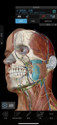 2019人體解剖學(xué)圖譜3d安卓版截圖5