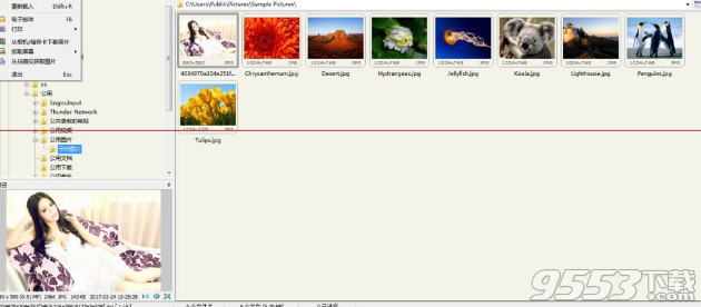 FastStone Image Viewer 6.9綠色中文版