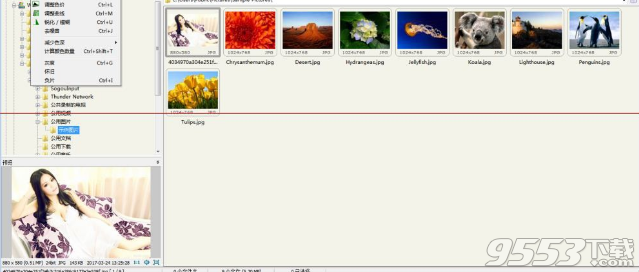 FastStone Image Viewer 6.9绿色中文版