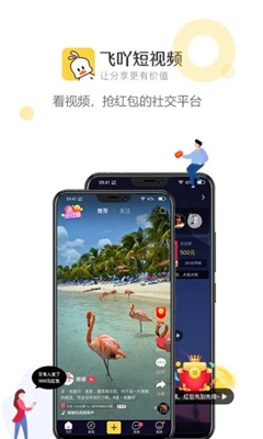 飛吖短視頻安卓版
