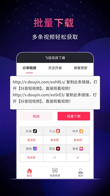 飞狐视频下载器最新版截图2