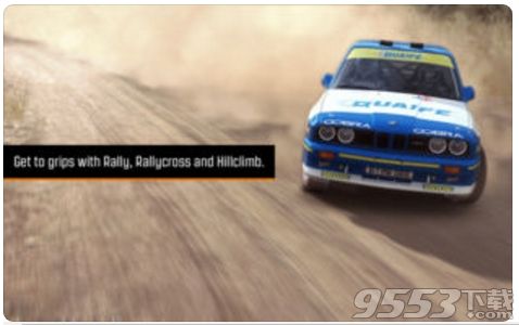 DiRT Rally for mac