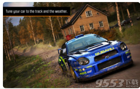 DiRT Rally for mac