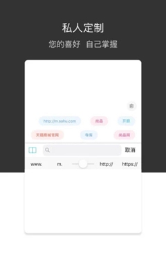 绿叶浏览器app下载-绿叶浏览器最新版下载v1.0.0图2