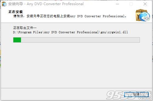 Any DVD Converter Professional中文破解版