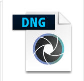 Adobe DNG Converter 11.2中文免费版