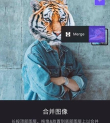 Enlight Photofox安卓破解版