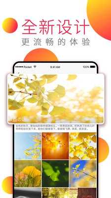 动态高清壁纸app下载-动态高清壁纸手机版下载v2.0.0图5