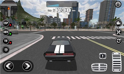 巅峰赛车游戏手机版截图2