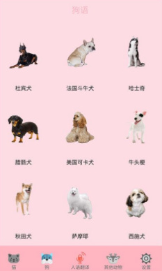 人猫翻译交流器截图2