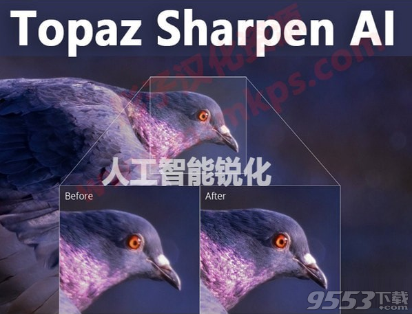Topaz Sharpen AI(人工智能清晰锐化软件) v1.1.3最新版