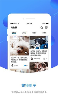 犬易app下载-犬易手机版下载v1.3.4图2