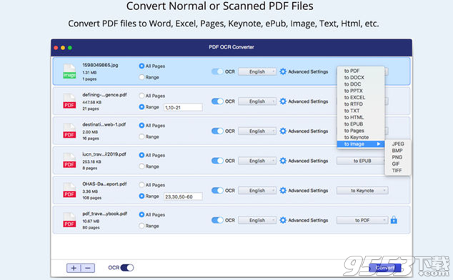 Aneesoft PDF Converter OCR Mac版