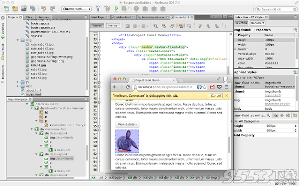 Chrome NetBeans IDE开发插件
