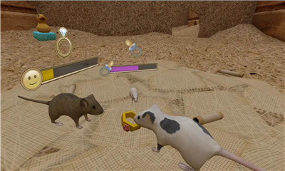 老鼠模拟生存手游下载-老鼠模拟生存安卓版下载v1.0图1