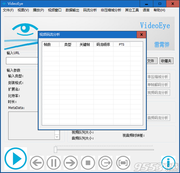 VideoEye(实时视频码流分析软件) v0.2免费版