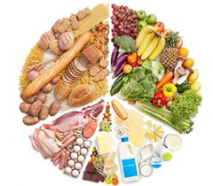 食物营养摄取健康饮食秘籍下载-食物营养摄取food官方版下载v1.9.5图1